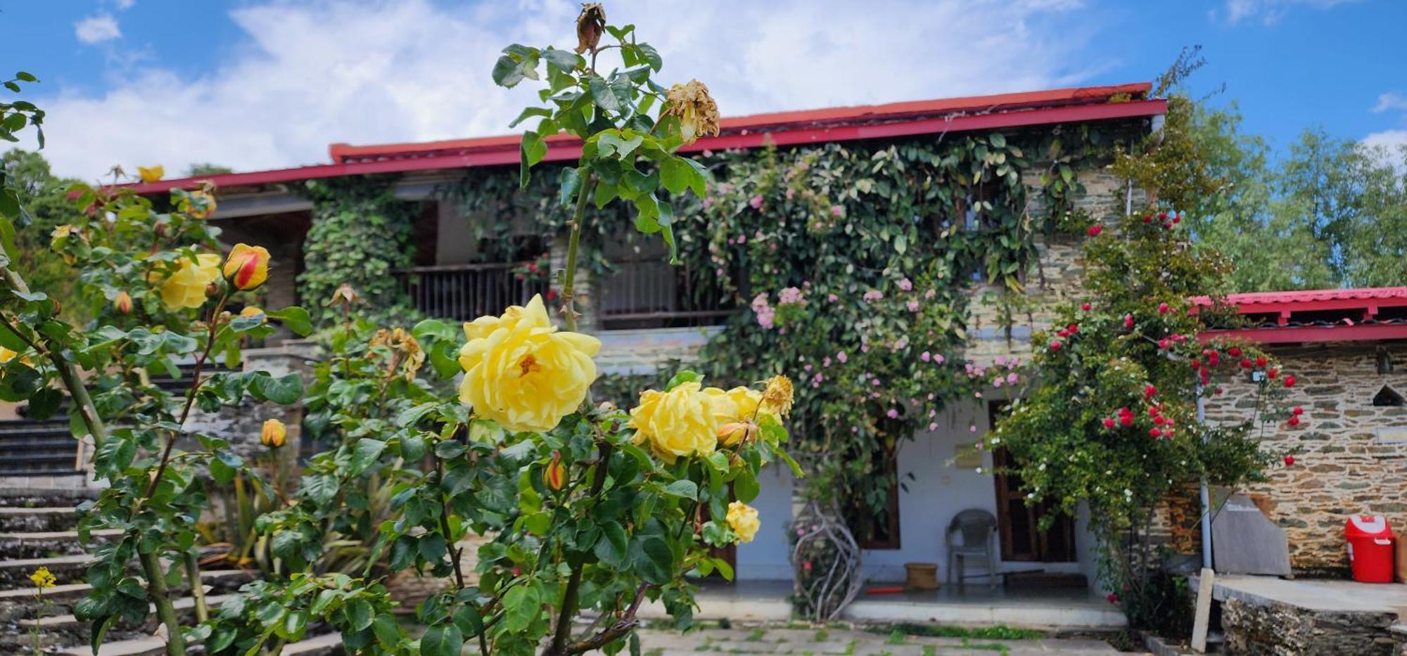 Dunagiri Retreat Dwarahat ภายนอก รูปภาพ